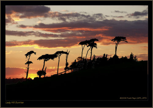 Lady Hill Silhouette